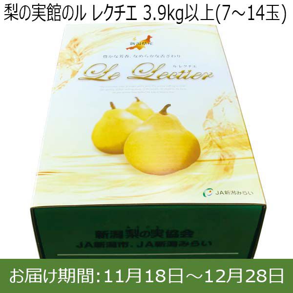 新潟県産(新潟市)梨の実館 ル レクチエ 3.9kg以上(7〜14玉)【お届け期間 11／18〜12／28】【ふるさとの味・北陸信越】　商品画像1
