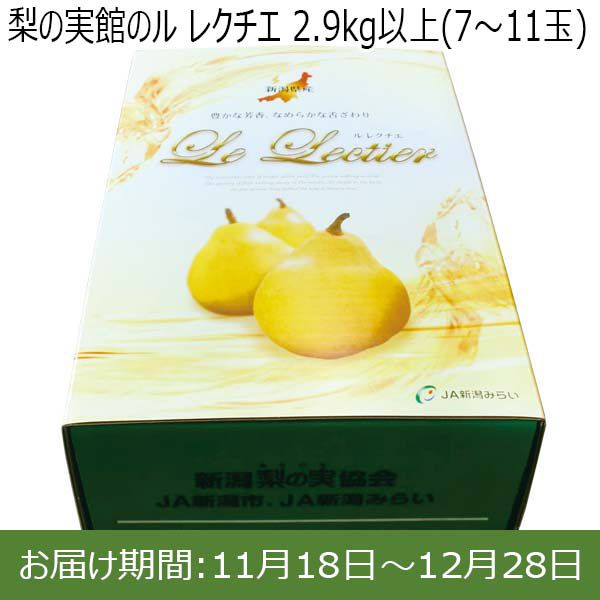 新潟県産(新潟市)梨の実館 ル レクチエ 2.9kg以上(7〜11玉)【お届け期間 11／18〜12／28】【ふるさとの味・北陸信越】　商品画像1