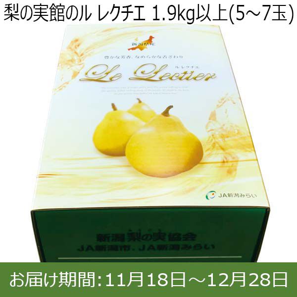 新潟県産(新潟市)梨の実館 ル レクチエ 1.9kg以上(5〜7玉)【お届け期間 11／18〜12／28】【ふるさとの味・北陸信越】　商品画像1