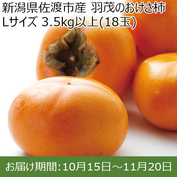 新潟県佐渡市産（JA羽茂地区）JA羽茂のおけさ柿 Lサイズ（18玉・3.5kg）【ふるさとの味・北陸信越】 | 柿 - イオンショップ