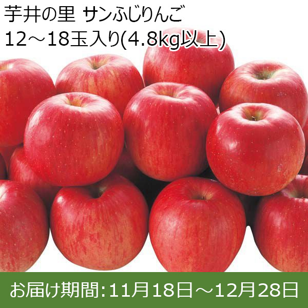 長野県産(長野市)芋井の里 サンふじりんご 4.8kg以上(12〜18玉)【お届け期間 11／18〜12／28】【ふるさとの味・北陸信越】　商品画像1