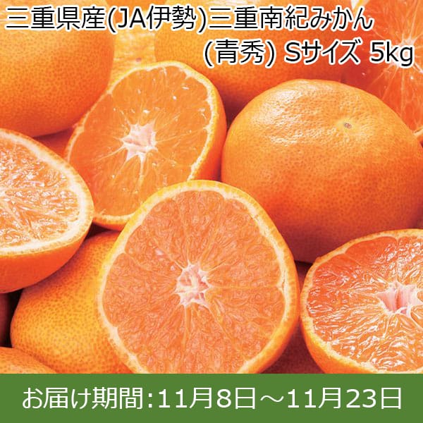 三重県産(JA伊勢)三重南紀みかん (青秀) Sサイズ 5kg【お届け期間：11/8(金)〜11/23(土)】【ふるさとの味・東海】　商品画像1