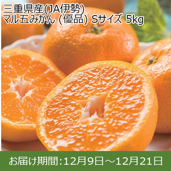 三重県産(JA伊勢)マル五みかん(優品) Sサイズ 5kg 【お届け期間：12/9(月)〜12/21(土)】【ふるさとの味・東海】　商品画像1