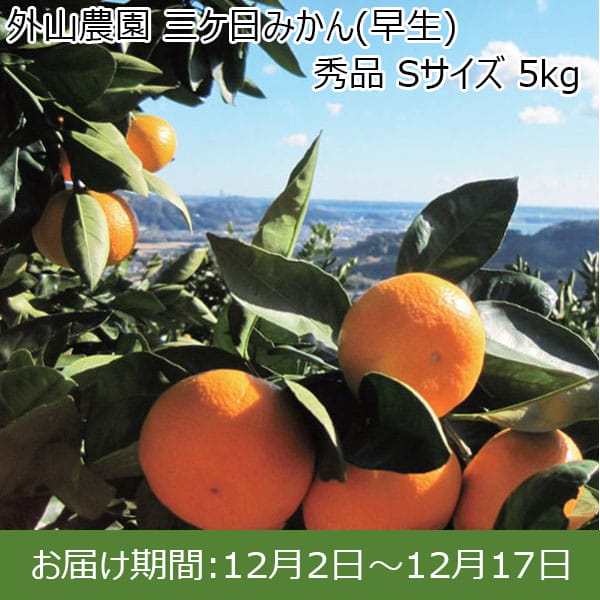 静岡県産(三ヶ日町 外山農園)三ケ日みかん(早生) 秀品 Sサイズ 5kg【限定50箱】【お届け期間：12/2(月)〜12/17(火)】【ふるさとの味・東海】　商品画像1