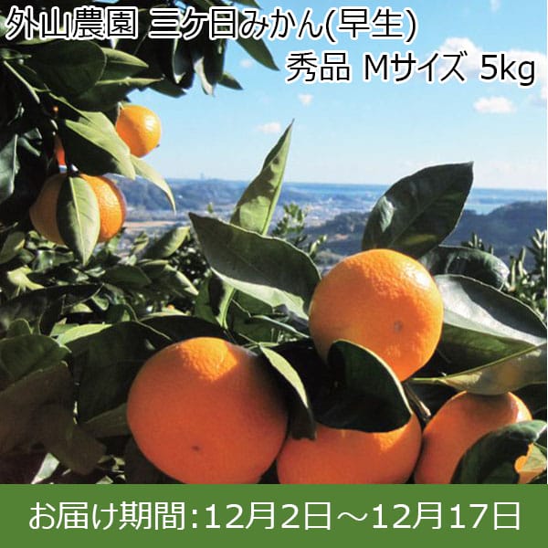 静岡県産(三ヶ日町 外山農園)三ケ日みかん(早生) 秀品 Mサイズ 5kg【限定50箱】【お届け期間：12/2(月)〜12/17(火)】【ふるさとの味・東海】　商品画像1