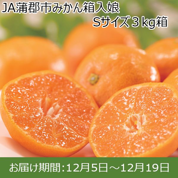 愛知県産(JA蒲郡市)箱入り娘 Sサイズ3kg【お届け期間：12/5(木)〜12/19(木)】【ふるさとの味・東海】　商品画像1