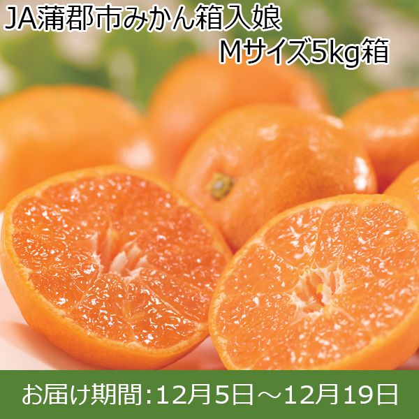 愛知県産(JA蒲郡市)箱入り娘 Mサイズ5kg【お届け期間：12/5(木)〜12/19(木)】【ふるさとの味・東海】　商品画像1