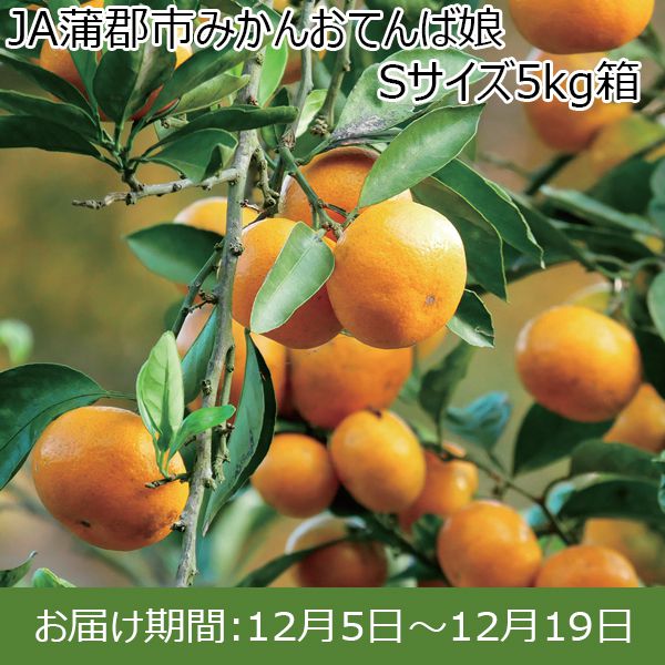 愛知県産(JA蒲郡市)おてんば娘 Sサイズ5kg【限定200箱】【お届け期間：12/5(木)〜12/19(木)】【ふるさとの味・東海】　商品画像1