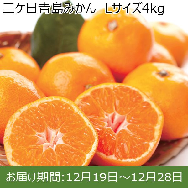 静岡県産(JAみっかび)三ケ日青島みかん L 4kg【お届け期間：12/19(木)〜12/28(土)】【ふるさとの味・東海】　商品画像1