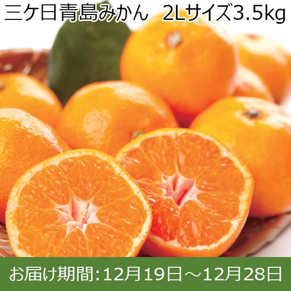 静岡県産(JAみっかび)三ケ日青島みかん 2L 3.5kg【お届け期間：12/19(木)〜12/28(土)】【ふるさとの味・東海】　商品画像1