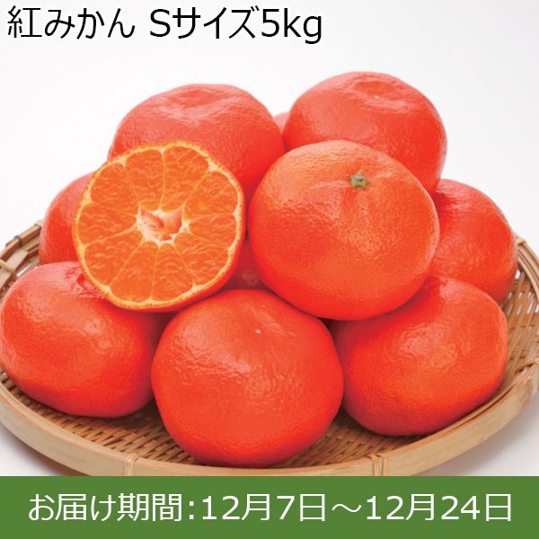 静岡県産(奥浜名湖地区)紅みかん Sサイズ5kg【限定100箱】【お届け期間：12/7(土)〜12/24(火)】【ふるさとの味・東海】　商品画像1