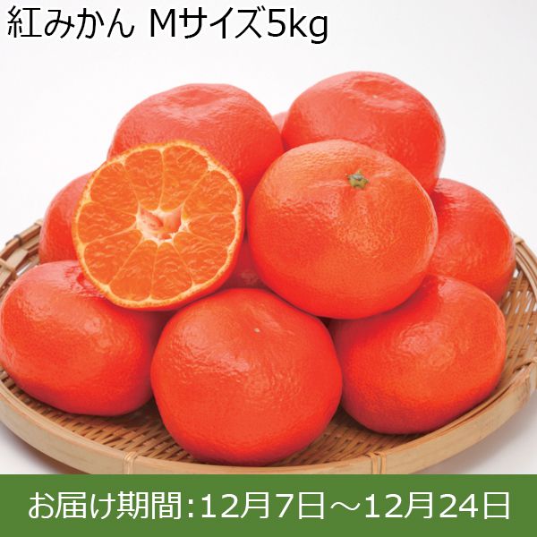 静岡県産(奥浜名湖地区)紅みかん Mサイズ5kg【限定100箱】【お届け期間：12/7(土)〜12/24(火)】【ふるさとの味・東海】　商品画像1