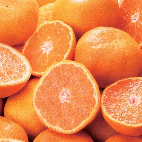 OdY(JAɐ) OdI݂() STCY 5kgyCBz ʕE؁yG߂̑蕨JMtgz