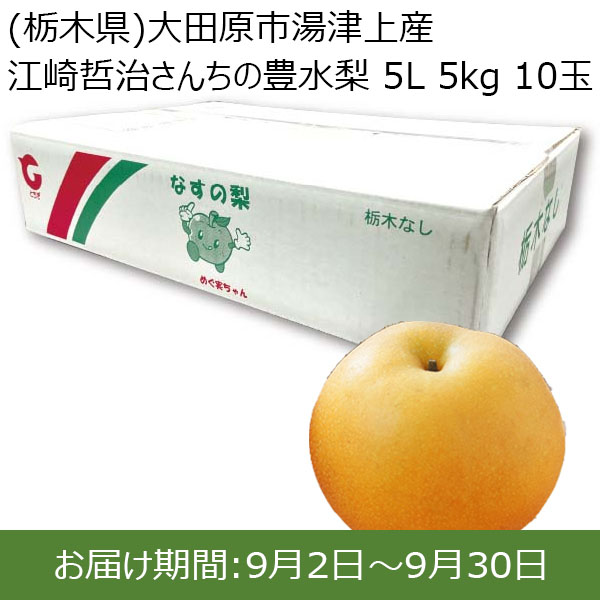 栃木県)大田原市湯津上産 江崎哲治さんちの豊水梨 5L 5kg 10玉 【お届け期間9/2(月)〜9/30(月)】【ふるさとの味・北関東】 | 梨 -  イオンショップ