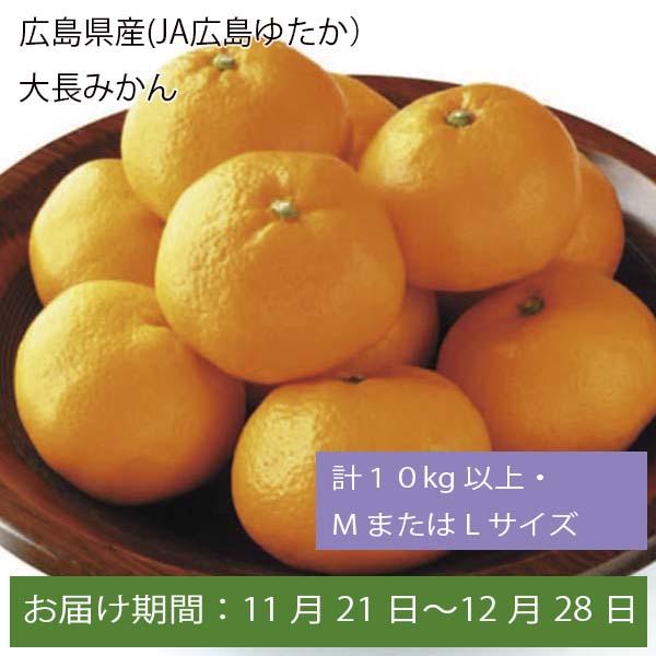 広島県産(JA広島ゆたか)大長みかん 計10kg以上・MまたはLサイズ【お届け期間:11月21日〜12月28日】【ふるさとの味・中四国】　商品画像1