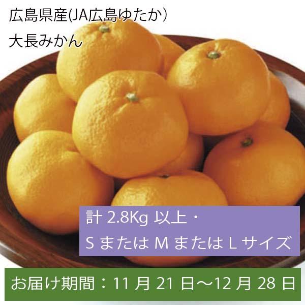 広島県産(JA広島ゆたか)大長みかん 計2.8kg以上 ・SまたはMまたはLサイズ【お届け期間:11月21日〜12月28日】【ふるさとの味・中四国】  | みかん・柑橘類 - イオンショップ