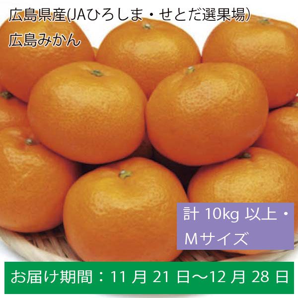 広島県産(JAひろしま・せとだ選果場）広島みかん計１０Kg以上・Ｍ