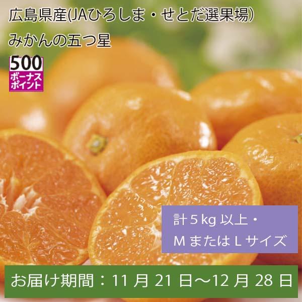 広島県産(JAひろしま・せとだ選果場)みかんの五つ星 計5kg以上・MまたはLサイズ【お届け期間:11月21日〜12月28日】【ふるさとの味・中四国】　商品画像1