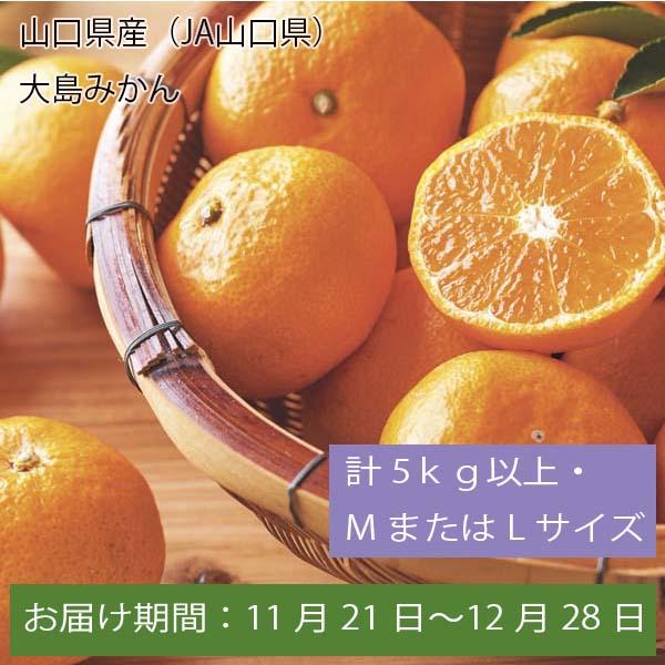 山口県産(JA山口県)大島みかん 計5kg以上・MまたはLサイズ【お届け期間:11月21日〜12月28日】【ふるさとの味・中四国】　商品画像1