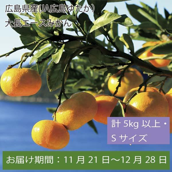 広島県産(JA広島ゆたか)大長エースみかん 計5kg以上・Sサイズ【お届け期間:11月21日〜12月28日】【ふるさとの味・中四国】　商品画像1