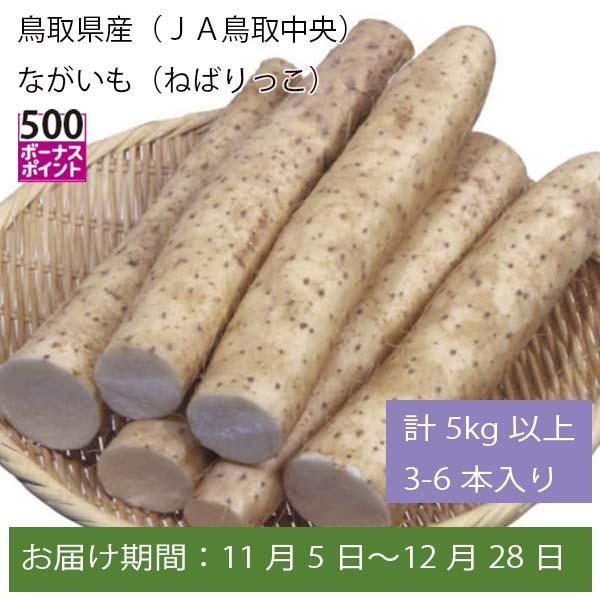 鳥取県産(JA鳥取中央) ながいも(ねばりっこ) 計5kg以上 3-6本入【お届け期間:11月5日〜12月28日】【ふるさとの味・中四国】　商品画像1