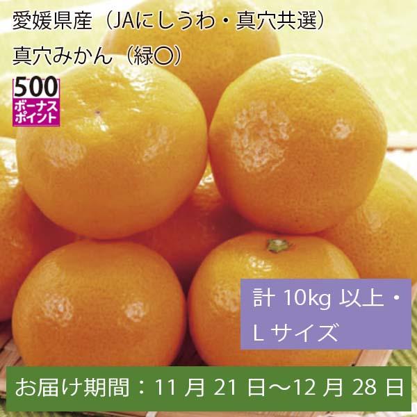 愛媛県産(JAにしうわ・真穴共選)真穴みかん 計10kg以上・Lサイズ【お届け期間:11月21日〜12月28日】【ふるさとの味・中四国】　商品画像1