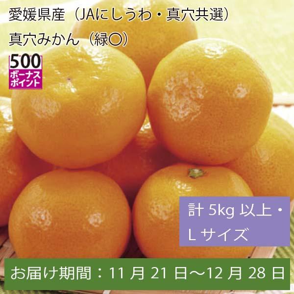 愛媛県産(JAにしうわ・真穴共選)真穴みかん 計5kg以上・Lサイズ【お届け期間:11月21日〜12月28日】【ふるさとの味・中四国】　商品画像1