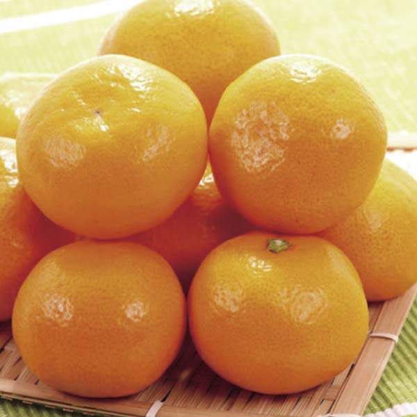 愛媛県産(JAにしうわ・真穴共選) 真穴みかん 計5kg以上・Sサイズ(緑○)【お届け期間:11月21日〜12月28日】【旬鮮便】【NN】 果物・野菜【季節の贈り物&ご褒美ギ 愛媛県産(JAにしうわ・真穴共選) 真穴みかん 計5kg以上・Sサイズ(緑○)【お届け期間:11月21日〜12月28日】【旬鮮便】【NN】 果物・野菜【季節の贈り物&ご褒美ギ