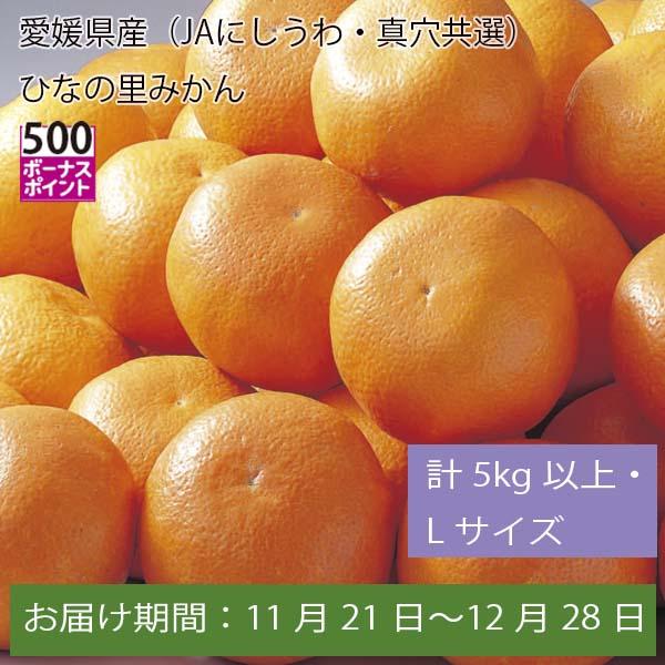 愛媛県産(JAにしうわ・真穴共選)ひなの里みかん 計5kg以上・Lサイズ【お届け期間:11月21日〜12月28日】【ふるさとの味・中四国】　商品画像1