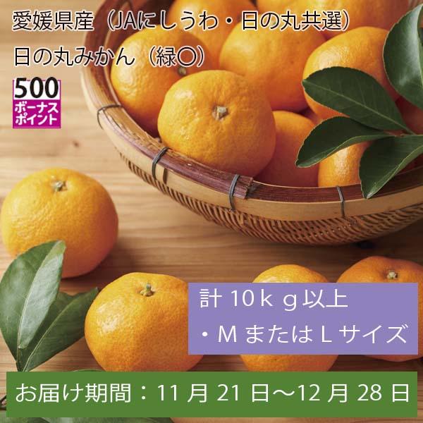 愛媛県産(JAにしうわ・日の丸共選)日の丸みかん 計10kg以上・MまたはLサイズ【お届け期間:11月21日〜12月28日】【ふるさとの味・中四国】　商品画像1