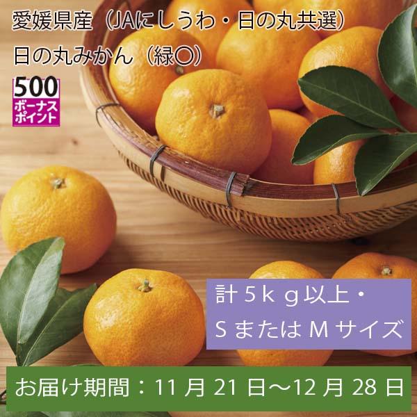 愛媛県産(JAにしうわ・日の丸共選)日の丸みかん 計5kg以上・SまたはMサイズ【お届け期間:11月21日〜12月28日】【ふるさとの味・中四国】　商品画像1