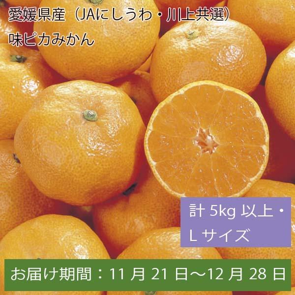 愛媛県産(JAにしうわ・川上共選)味ピカみかん 計5kg以上・Lサイズ【お届け期間:11月21日〜12月28日】【ふるさとの味・中四国】　商品画像1