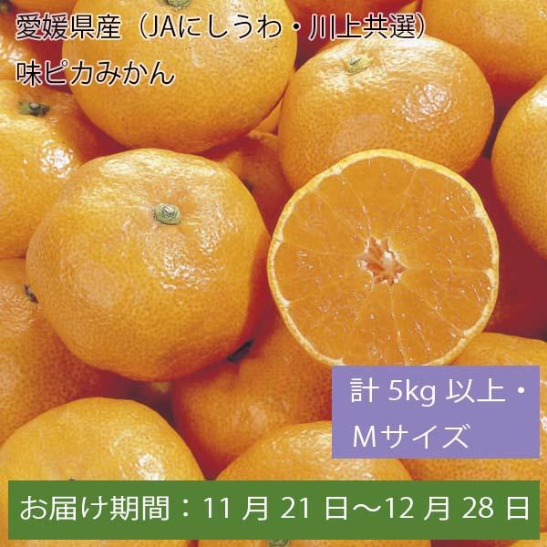 愛媛県産(JAにしうわ・川上共選)味ピカみかん 計5kg以上・Mサイズ【お届け期間:11月21日〜12月28日】【ふるさとの味・中四国】　商品画像1