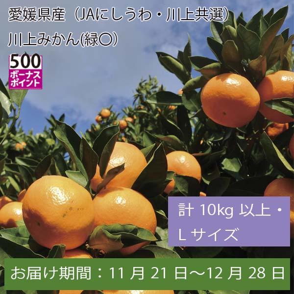 愛媛県産(JAにしうわ・川上共選)川上みかん 計10kg以上・Lサイズ【お届け期間:11月21日〜12月28日】【ふるさとの味・中四国】　商品画像1