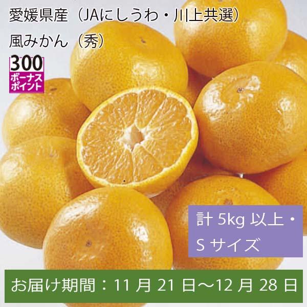 愛媛県産(JAにしうわ・川上共選)風みかん 計5kg以上・Sサイズ【お届け期間:11月21日〜12月28日】【ふるさとの味・中四国】　商品画像1