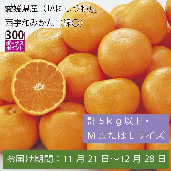 愛媛県産(JAにしうわ)西宇和みかん 計5kg以上・MまたはLサイズ【お届け期間:11月21日〜12月28日】【ふるさとの味・中四国】　商品画像1