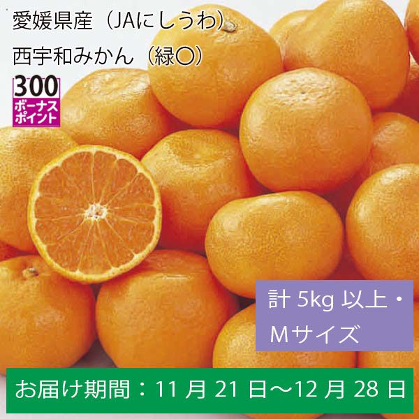 愛媛県産（JAにしうわ）西宇和みかん（緑〇）計５Kg以上・Ｍサイズ【お