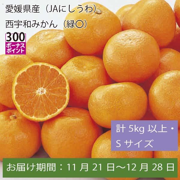 愛媛県産(JAにしうわ)西宇和みかん 計5kg以上・Sサイズ【お届け期間:11月21日〜12月28日】【ふるさとの味・中四国】　商品画像1