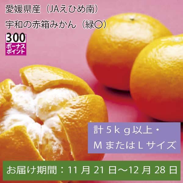 愛媛県産(JAえひめ南)宇和の赤箱みかん 計5kg以上・MまたはLサイズ【お届け期間:11月21日〜12月28日】【ふるさとの味・中四国】　商品画像1