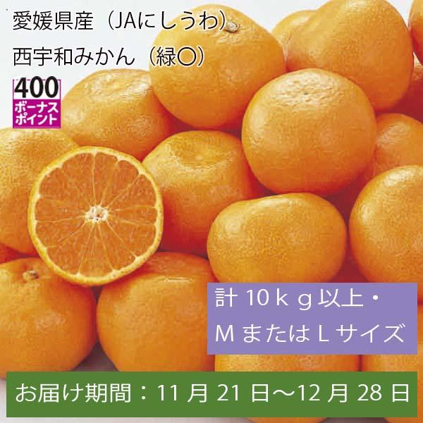 愛媛県産(JAにしうわ)西宇和みかん 計10kg以上・MまたはLサイズ【お届け期間:11月21日〜12月28日】【ふるさとの味・中四国】　商品画像1