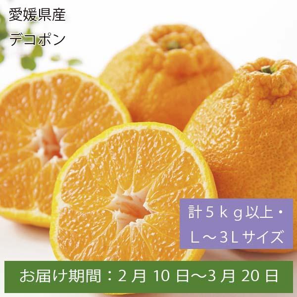 愛媛県産 デコポン 計5kg以上・L〜3Lサイズ【お届け期間:2月10日〜3月20日】【ふるさとの味・中四国】　商品画像1