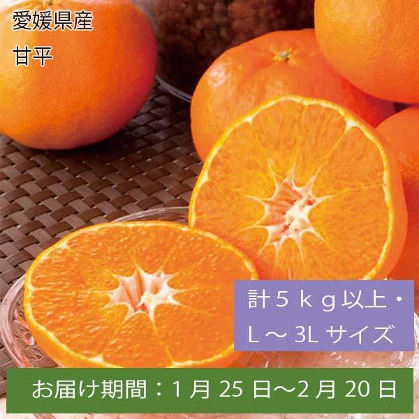 愛媛県産甘平計１．５Kg以上・３Ｌ-Ｌサイズ ５〜９玉【お届け期間：1