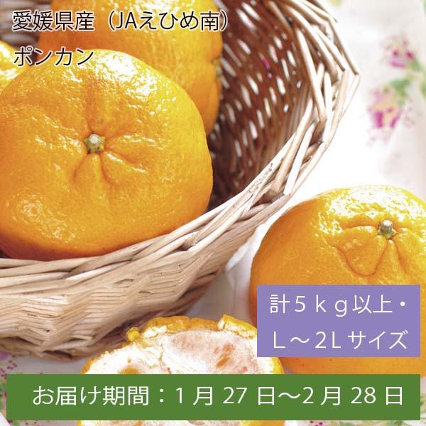 愛媛県産(JAえひめ南)ポンカン 計5kg以上・L〜2Lサイズ【お届け期間:1月27日〜2月28日】【ふるさとの味・中四国】　商品画像1