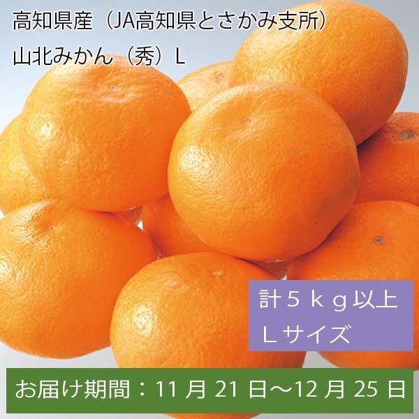 高知県産(JA高知県とさかみ支所)山北みかん秀 計5kg以上・Lサイズ【お届け期間:11月21日〜12月25日】【ふるさとの味・中四国】　商品画像1