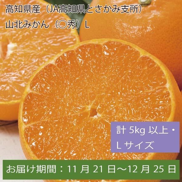 高知県産(JA高知県とさかみ支所)山北みかん○秀 計5kg以上・Lサイズ【お届け期間:11月21日〜12月25日】【ふるさとの味・中四国】　商品画像1