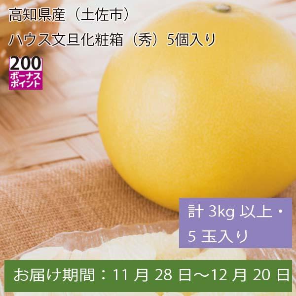 高知県産(土佐市)ハウス文旦化粧箱(秀)  計3kg以上・5玉入【お届け期間:11月28日〜12月20日】【ふるさとの味・中四国】　商品画像1