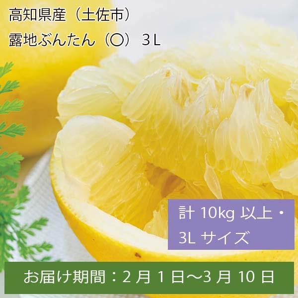 高知県産(土佐市)露地ぶんたん(〇) 計10kg以上・3Lサイズ【お届け期間:2月1日〜3月10日】【ふるさとの味・中四国】　商品画像1