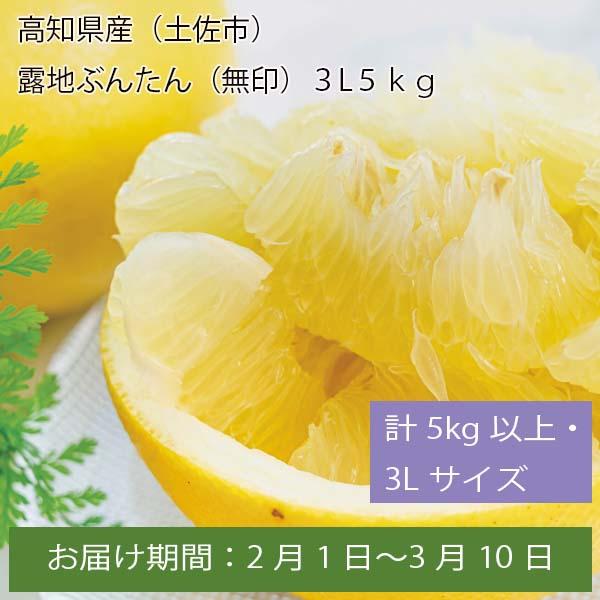 高知県産(土佐市)露地ぶんたん(無印) 計5kg以上・3Lサイズ【お届け期間:2月1日〜3月10日】【ふるさとの味・中四国】　商品画像1