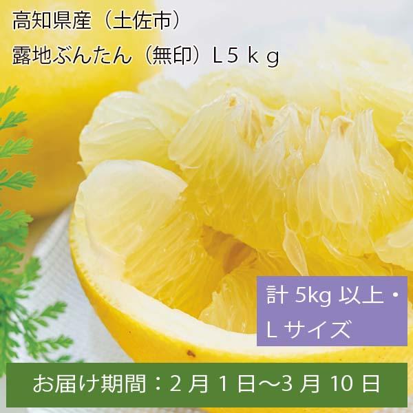 高知県産(土佐市)露地ぶんたん(無印) 計5kg以上・Lサイズ【お届け期間:2月1日〜3月10日】【ふるさとの味・中四国】　商品画像1