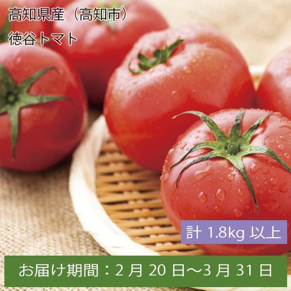 高知県産(高知市)徳谷トマト 計1.8kg以上【お届け期間:2月20日〜3月31日】【ふるさとの味・中四国】　商品画像1